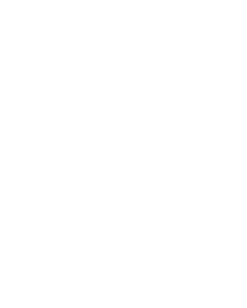 Technology & IT